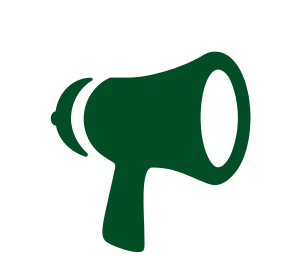 Campaign icon